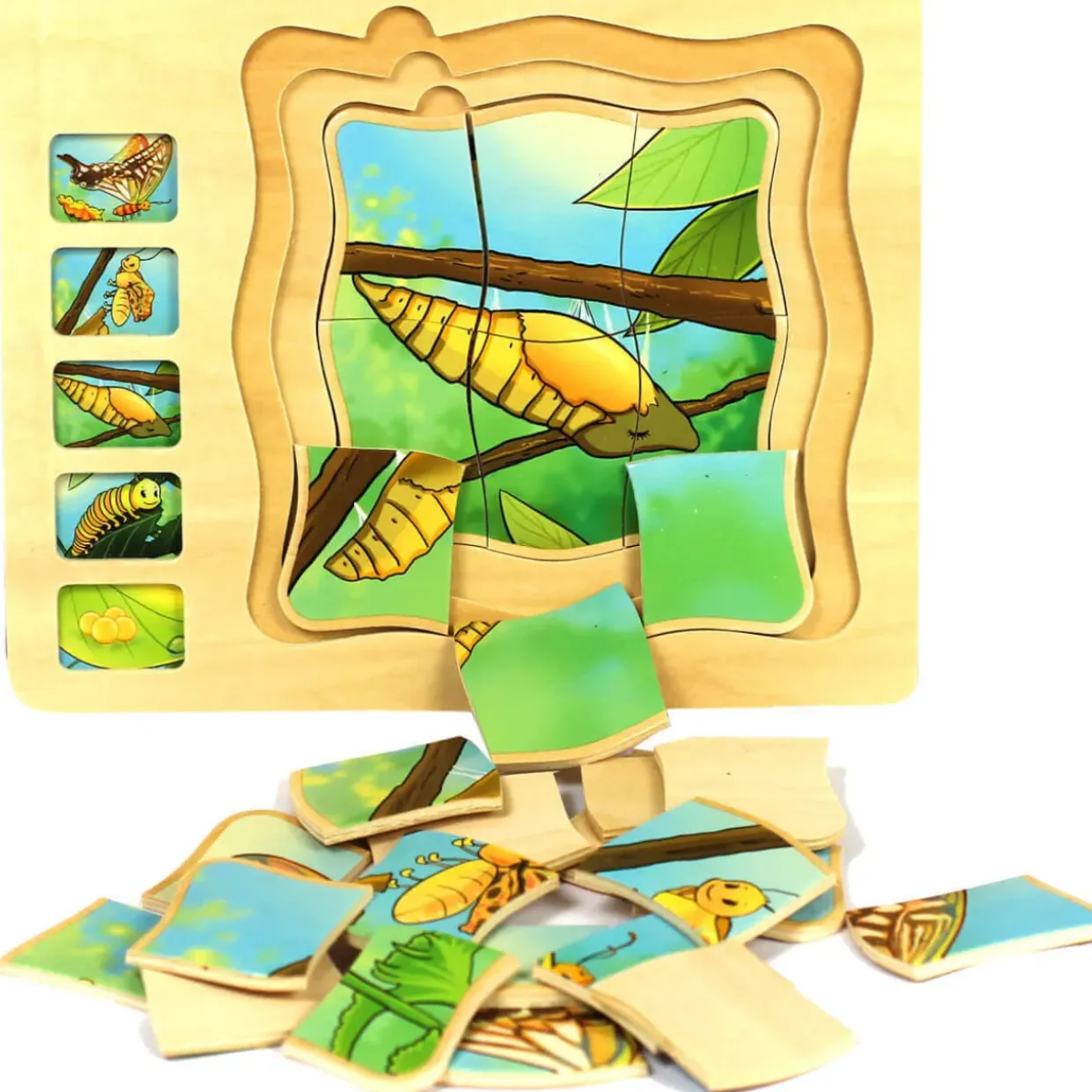 Butterfly Life Cycle Wooden Jigsaw Puzzle