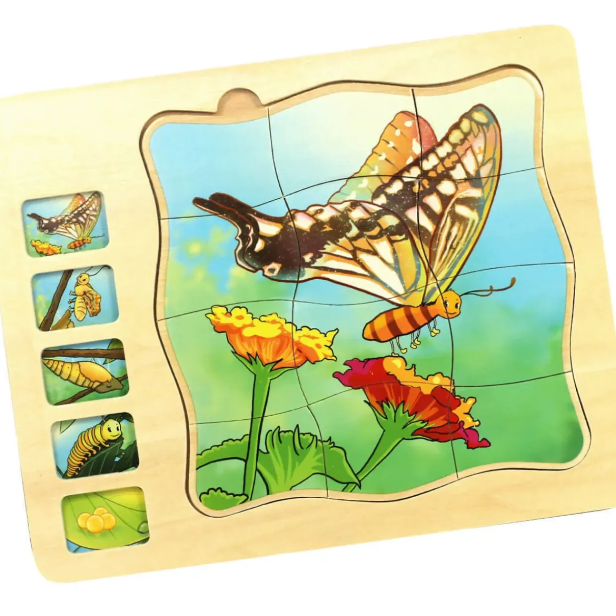 Butterfly Life Cycle Wooden Jigsaw Puzzle
