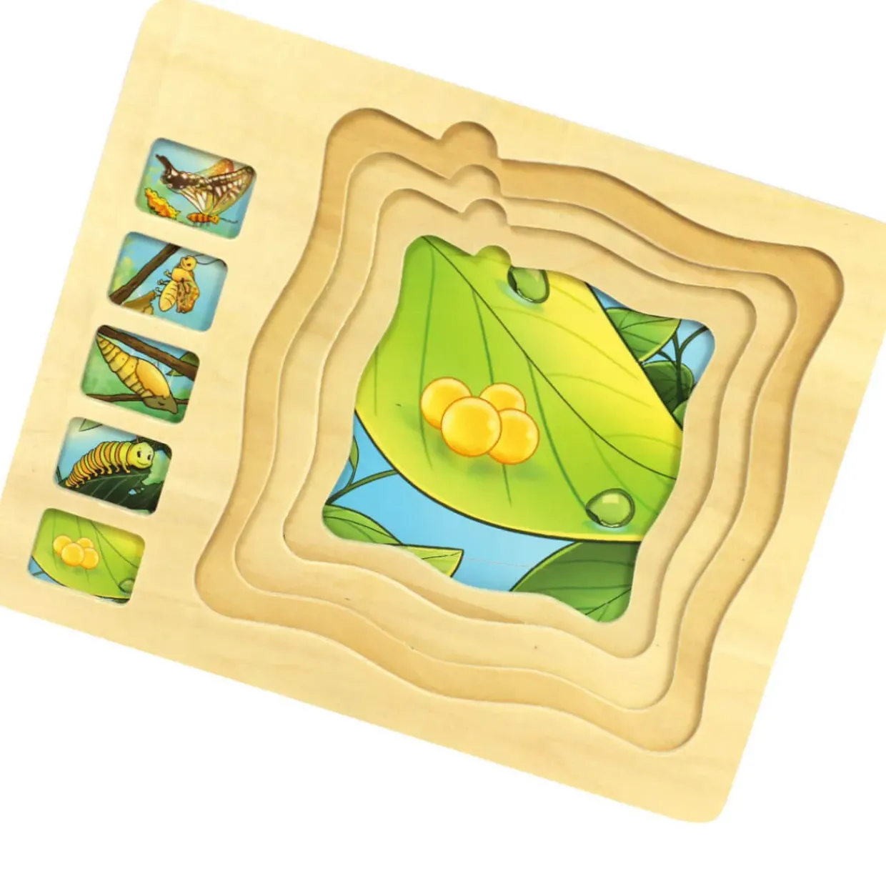 Butterfly Life Cycle Wooden Jigsaw Puzzle