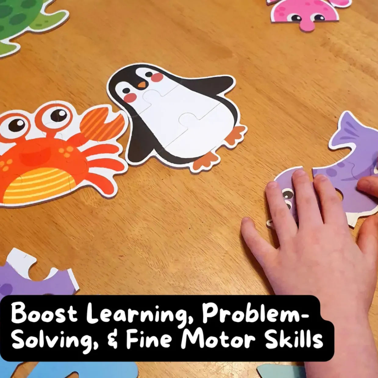 Jigsaw Puzzles in Box - Sea Creatures