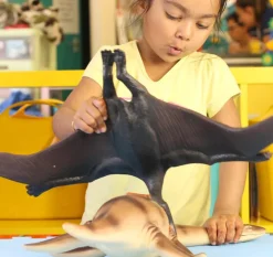 Jumbo Flying Dinosaur Toy - 20 Inch