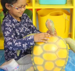 Jumbo Sea Animal Toy - 20" Sea Turtle