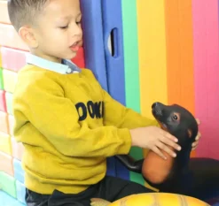 Jumbo Sea Lion Toy - 23 Inch