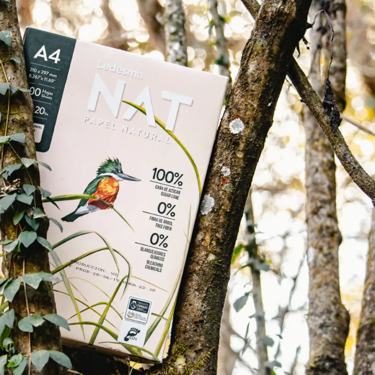 NATURAL & ECO-FRIENDLY A4 PAPER - 5 Reams 2500 Sheets