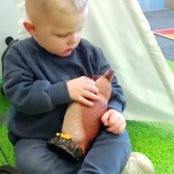 3PC Jumbo Owl & Bat Bundle