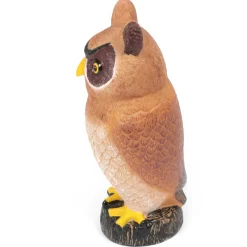 3PC Jumbo Owl & Bat Bundle