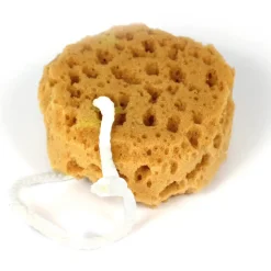 15PC Sensory Tactile Sponge Set for Sensory Stimulation & Therapy