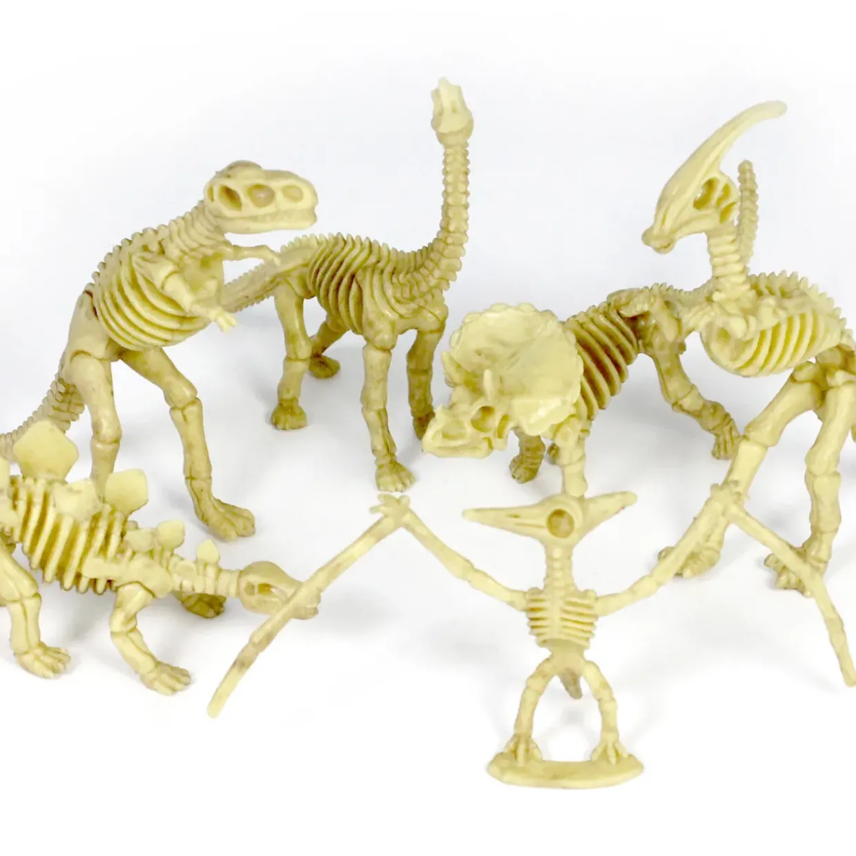 6-Piece Realistic Toy Dinosaur Skeleton Bones Set - Ideal for Pretend Play