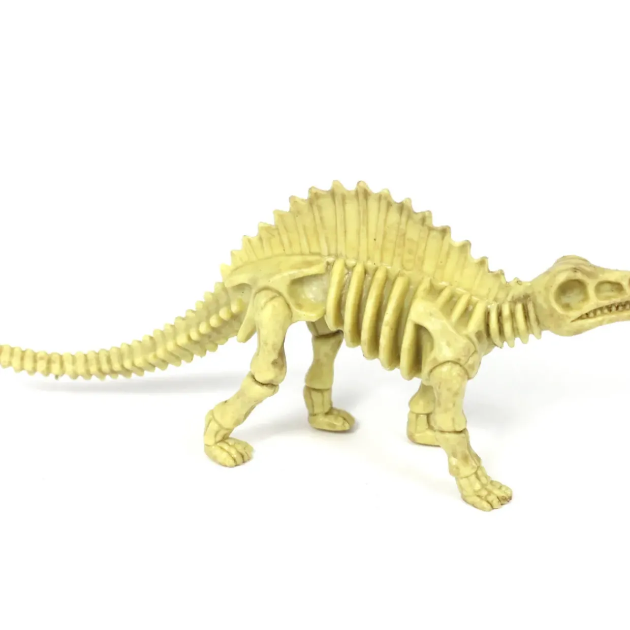 6-Piece Realistic Toy Dinosaur Skeleton Bones Set - Ideal for Pretend Play
