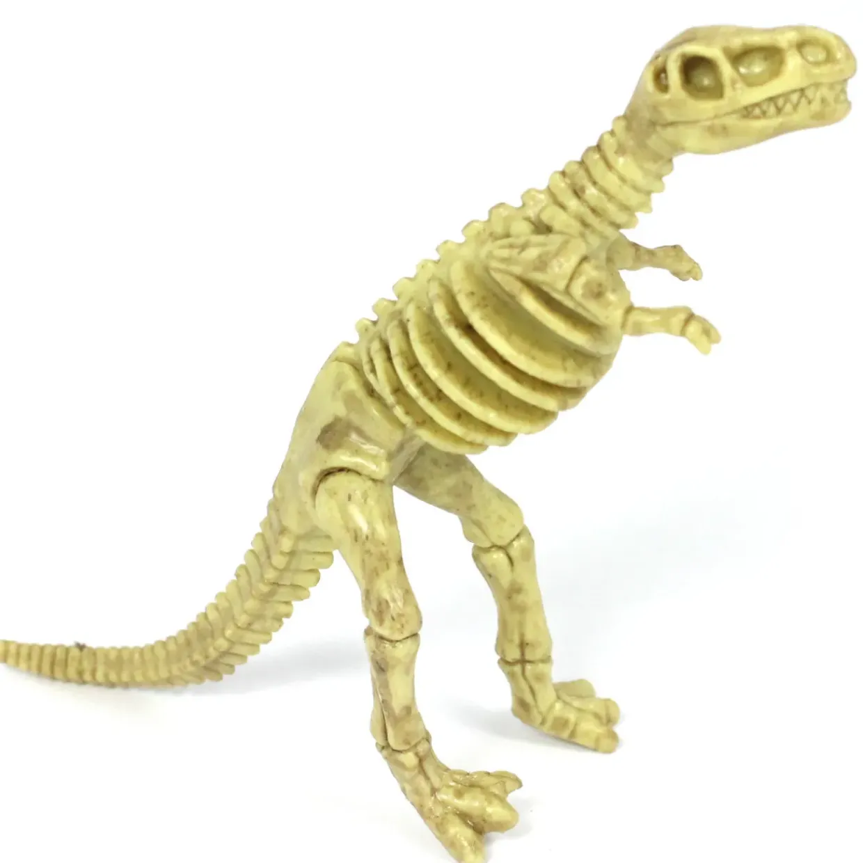 6-Piece Realistic Toy Dinosaur Skeleton Bones Set - Ideal for Pretend Play