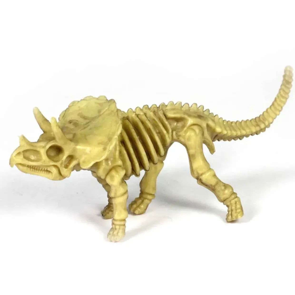 18-Piece Toy Dinosaur Skeleton Bones Set for Hands-On Learning & Adventure