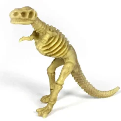 18-Piece Toy Dinosaur Skeleton Bones Set for Hands-On Learning & Adventure