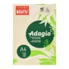 Rey Adagio Card A4 160gsm Ivory (250 sheets)
