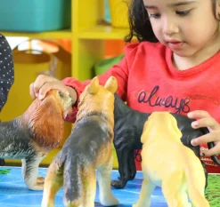 Small World Jumbo Soft Feel Dogs Collection