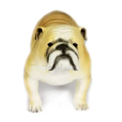 Small World Jumbo Soft Feel Dogs Collection