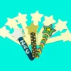 STAR SHAPED WOODEN CRAFT STICKS -10PK