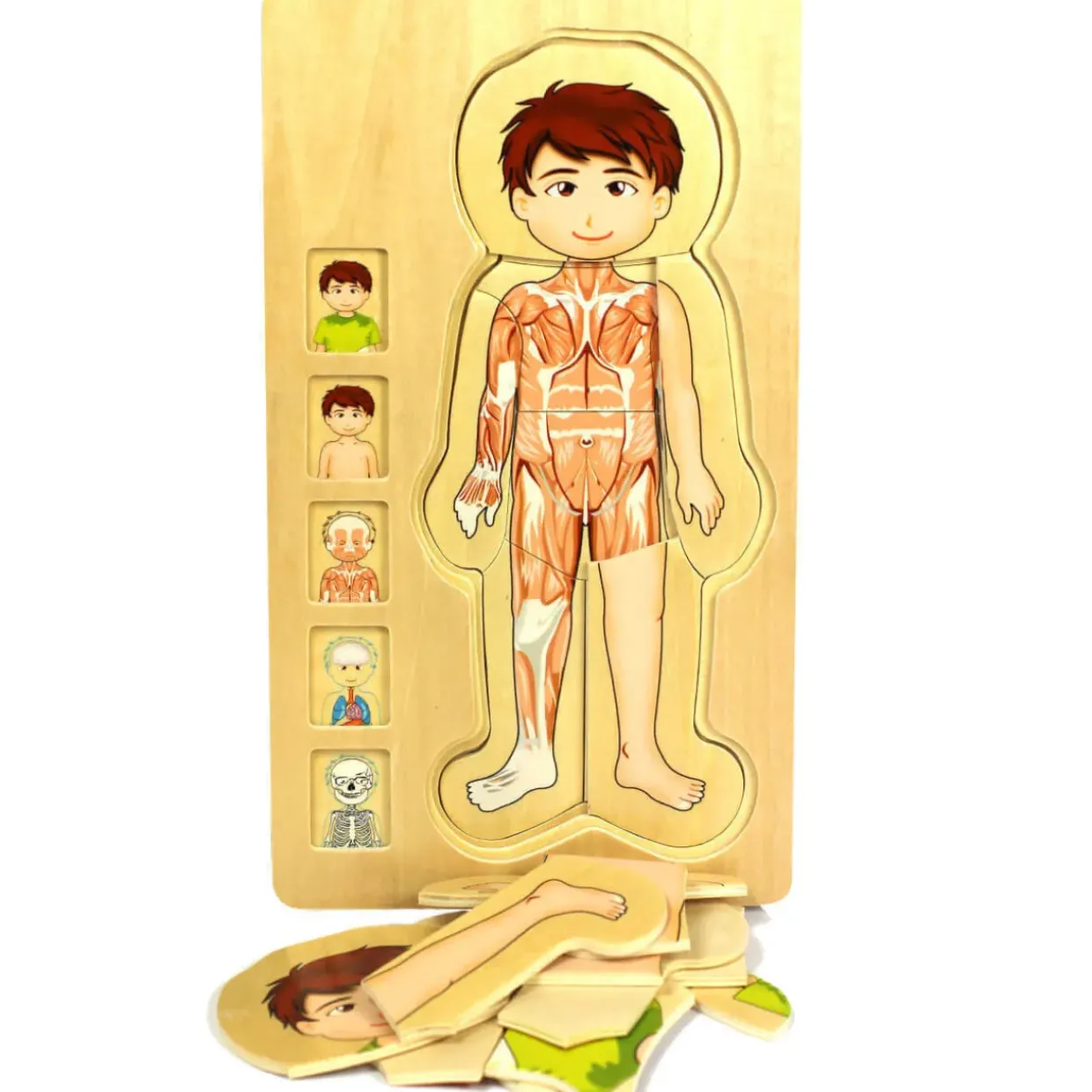 Wooden Human Body Boy 5-Layered Jigsaw Puzzle for Fun & Learning