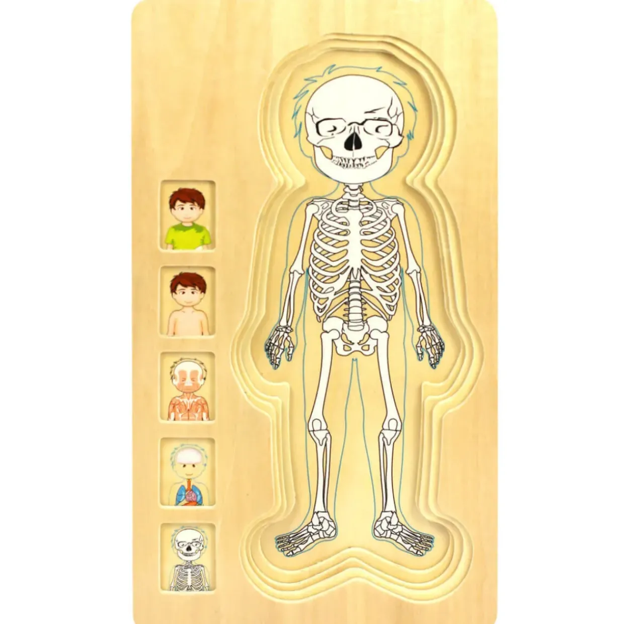 Wooden Human Body Boy 5-Layered Jigsaw Puzzle for Fun & Learning