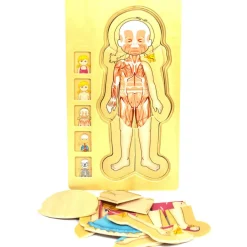 WOODEN HUMAN BODY GIRL 5-LAYERED JIGSAW PUZZLE FOR FUN & LEARNING
