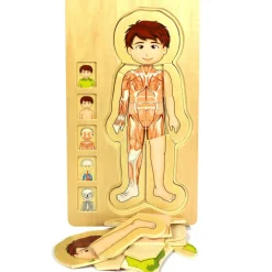 Wooden Jigsaw Puzzle Bundle - Human Body Boy & Girl